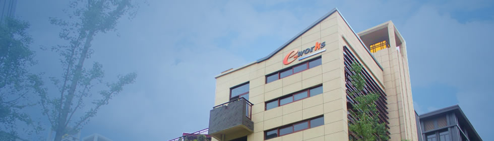 e-worksֻҵ