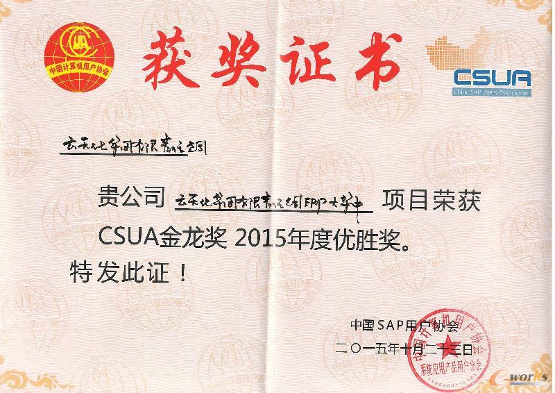 恭贺云天化荣获计算机用户协会（CSUA）2015年度金龙奖