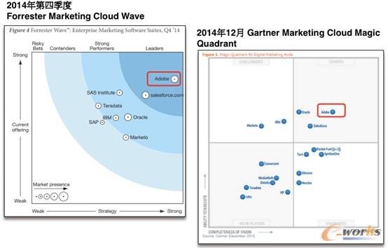 Forrest和Gartner关于Marketing Cloud的评估