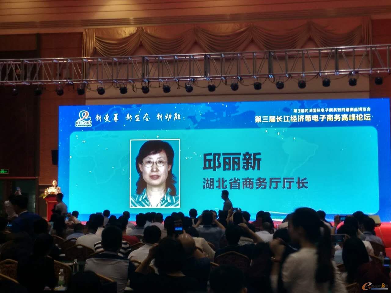 湖北省商务厅厅长邱丽新