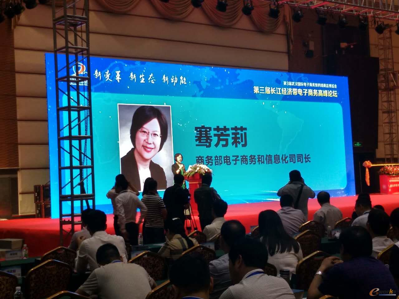 商务部电子商务和信息化司司长骞芳莉