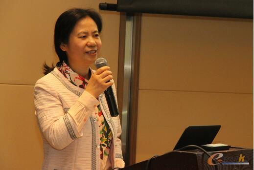 武汉市人民政府徐洪兰副市长发表致辞