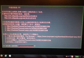 解密勒索病毒秘密开关 内附全网首款文件恢复工具