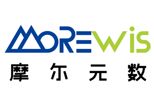福建摩尔软件有限公司