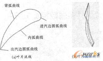 叶片的造型图