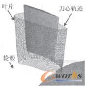 叶片精加刀具轨迹