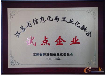 图2 江苏省信息化与工业化融合试点企业