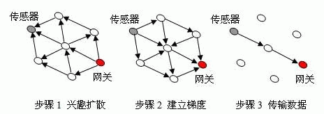定向扩散路由原理示意图