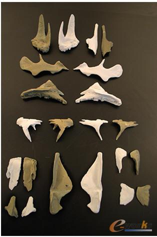 通过ProJet 660全彩色3D打印机制作的石膏化石