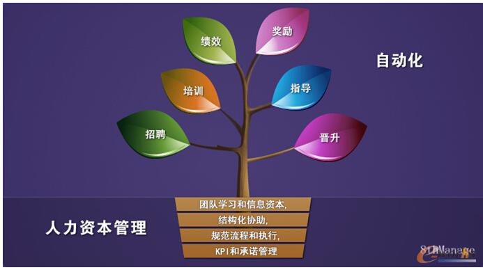 e-HR战略崛起 人才之战一触即发_HRM_管理信