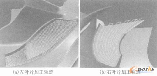 图5 粗加工两个叶片的刀轨图