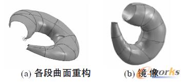 图10 虾仁整体外表面