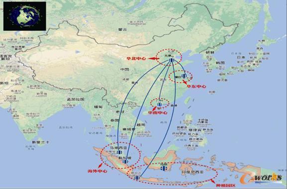 图3 “多中心、多业态”的国际化信息协同管理