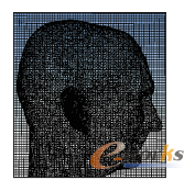 图2 头部周围空气的网格