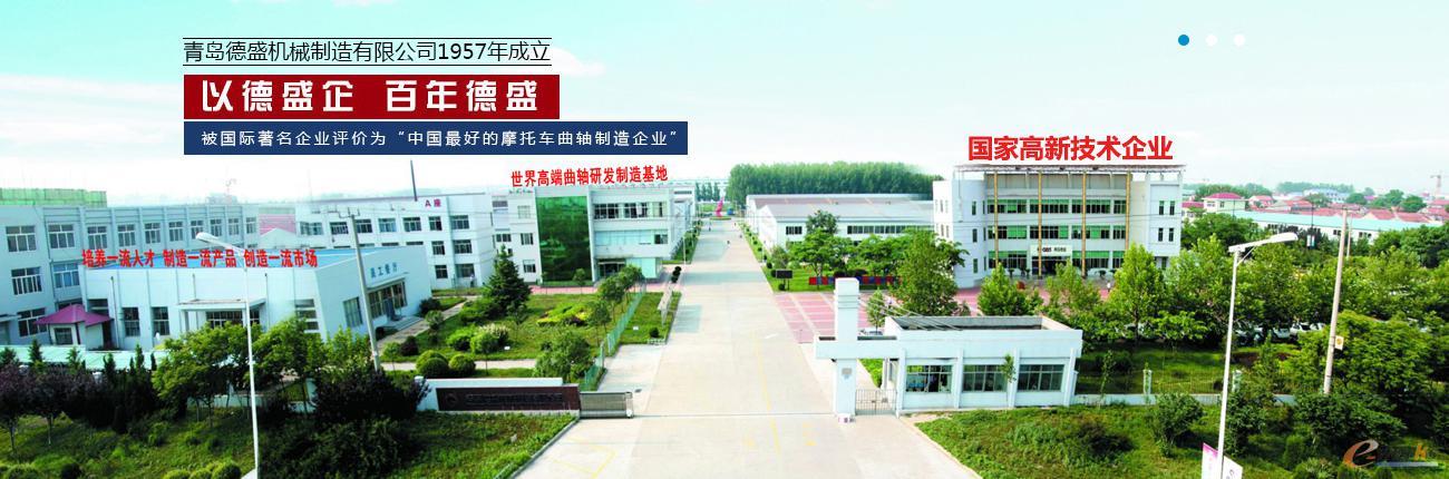 图1 青岛德盛机械制造有限公司