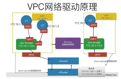 Docker网络深度解读