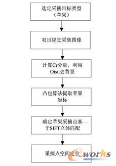 苹果采摘机器人视觉识别定位流程图