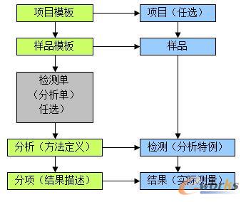 活动记录模版