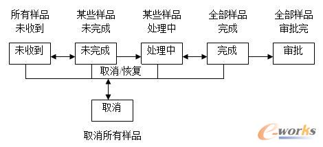 项目的生命期