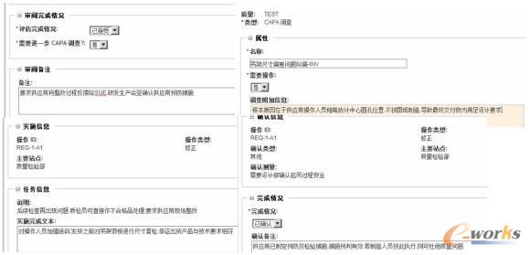 CAPA评审过程