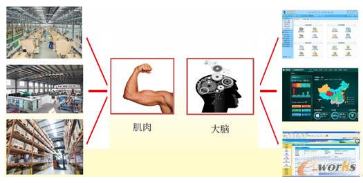 发挥肌肉与大脑的最佳状态