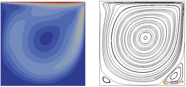 Lid-driven cavity问题:速度场及流线图,Re=1000