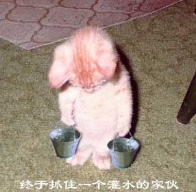 ͼƬ´ڴ򿪲鿴