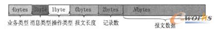 数据报文格式图