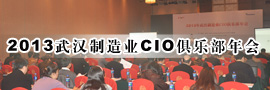 2013人ҵCIOֲ