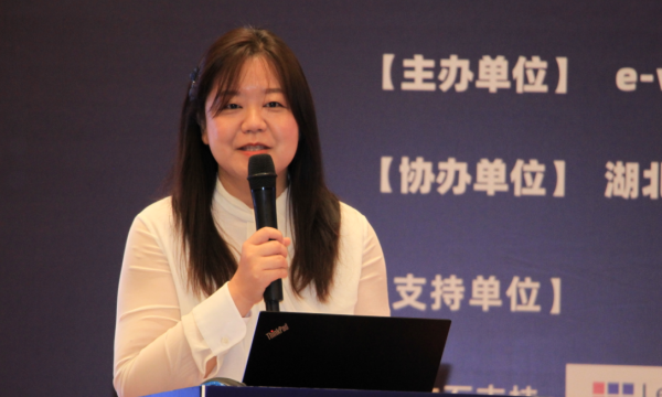 吴芳武汉经济技术开发区经信局局长