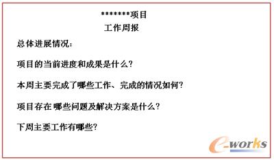 图14-5  项目周报模板