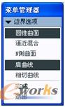 图7-55  指定边界选项