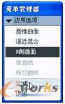 图7-66 “边界选项”菜单