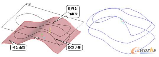 投影曲线