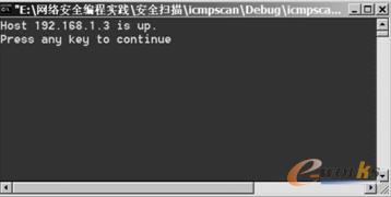  ICMP Echo扫描