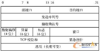  TCP头部结构