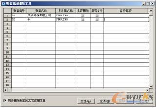图2-28 “账套批量删除工具”窗口