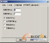 图4-46 “打印选项”设置界面