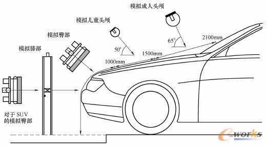 行人保护实验