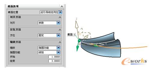 设置截面选项