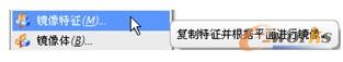 镜像特征
