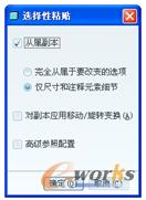 图5-15 “选择性粘贴”对话框