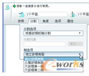 图6-72  指定侧选项