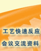 工艺快速反应会议交流资料