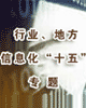 行业、地方信息化“十五”专题
