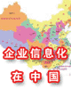 企业信息化在中国