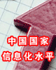 中国国家信息化水平