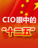 CIO眼中的十二五