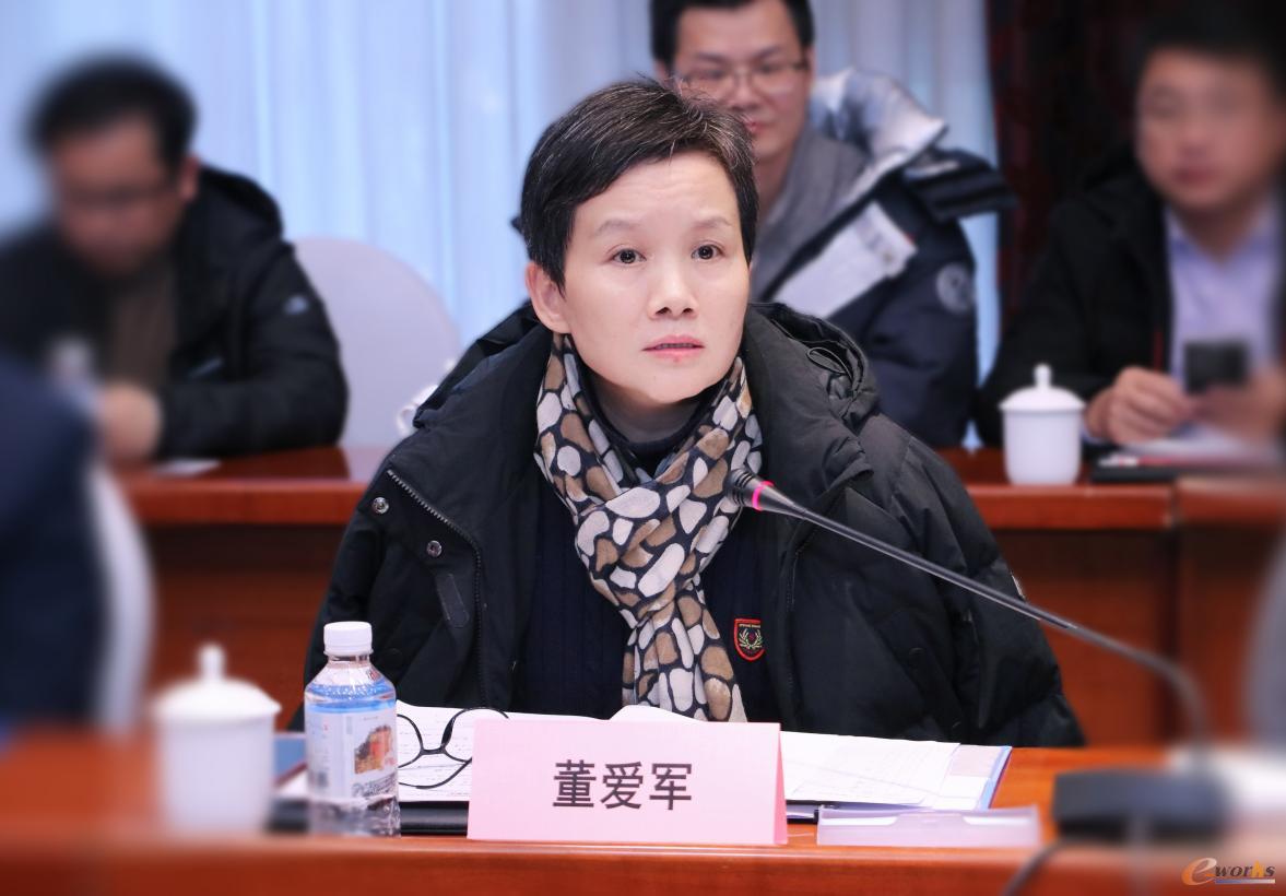 湖北省经济和信息化厅软件和信息服务业处处长 董爱军