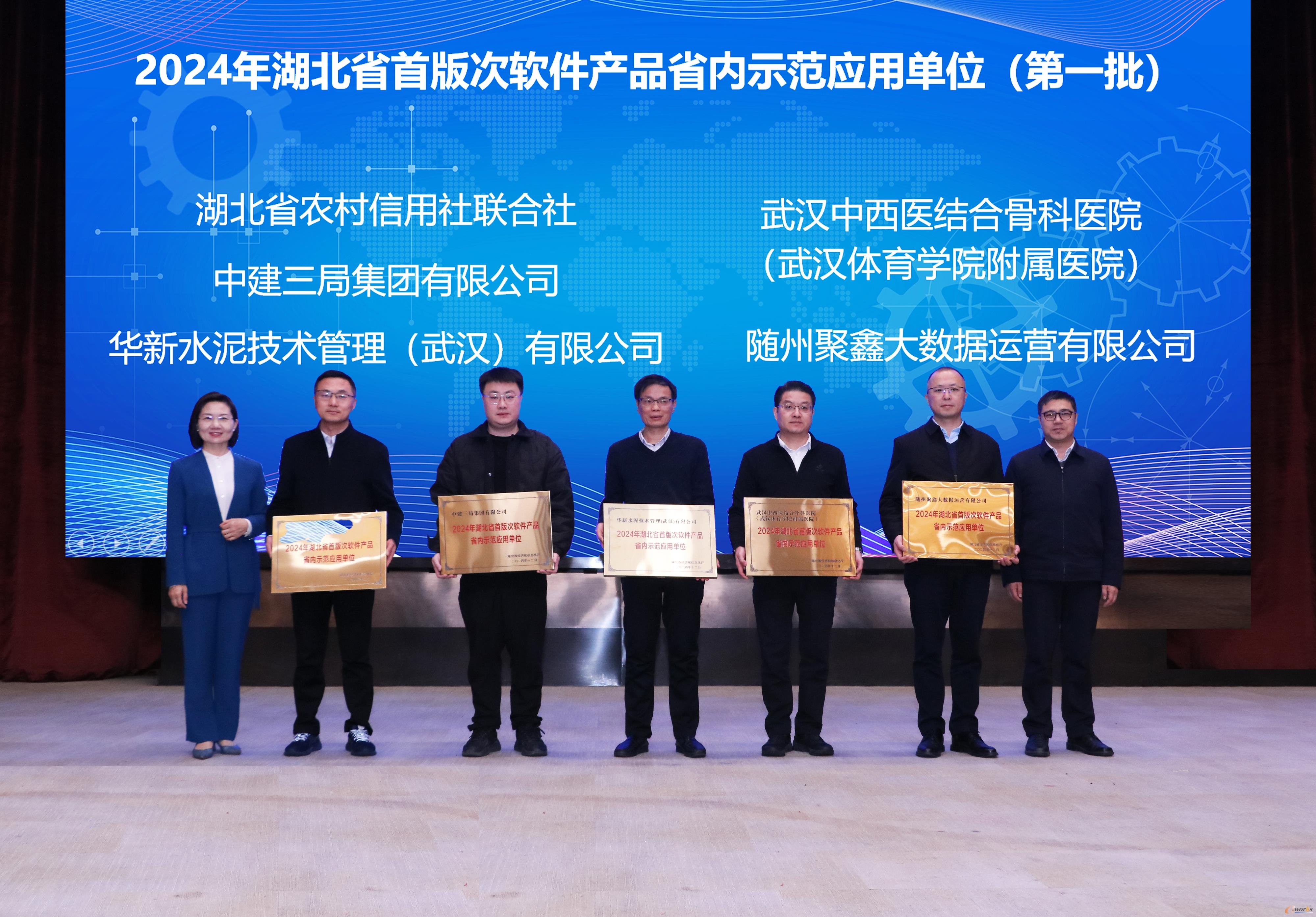 2024年湖北省首版次软件产品省内示范应用单位授牌